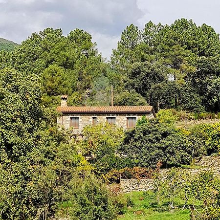 Casa Rural En Candeleda Con Piscina Y Un Maravilloso Jardin 外观 照片
