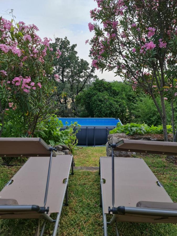 Casa Rural En Candeleda Con Piscina Y Un Maravilloso Jardin 外观 照片