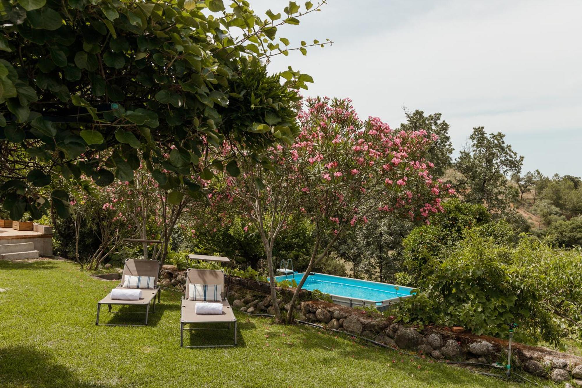 Casa Rural En Candeleda Con Piscina Y Un Maravilloso Jardin 外观 照片