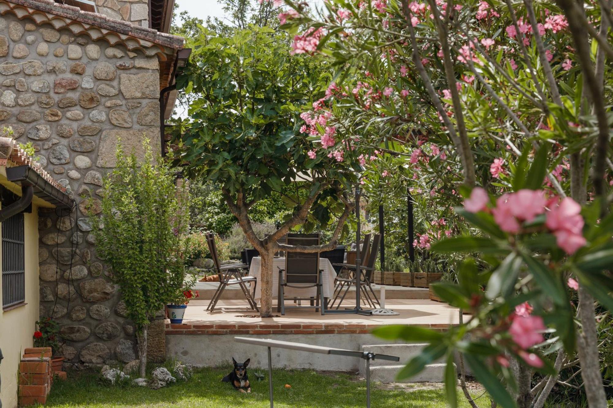 Casa Rural En Candeleda Con Piscina Y Un Maravilloso Jardin 外观 照片